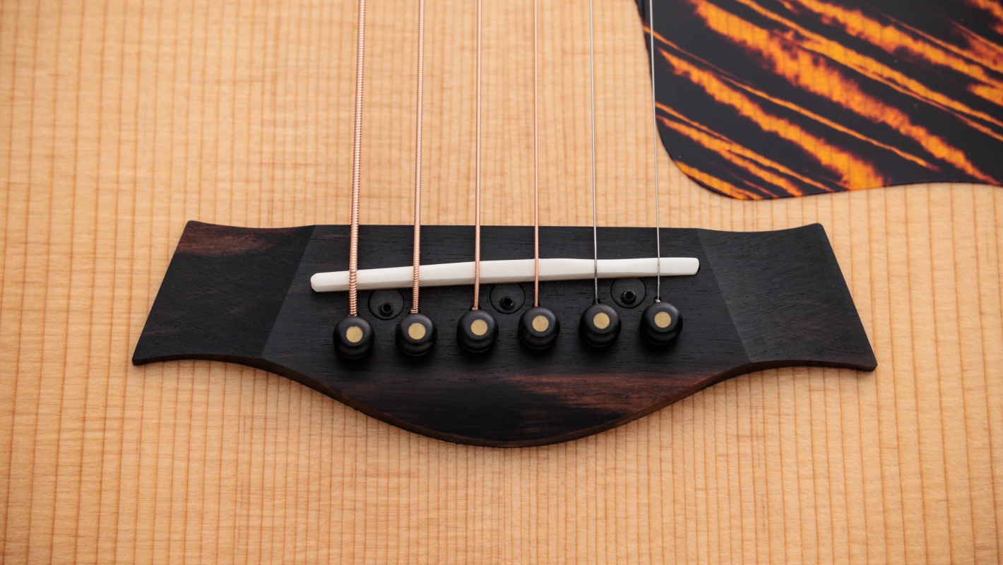 50th Anniversary GS Mini e Rosewood LTD